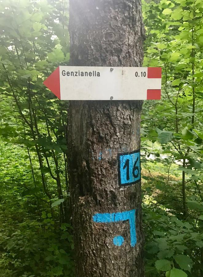 Genzianella Molveno-Andalo Exterior foto